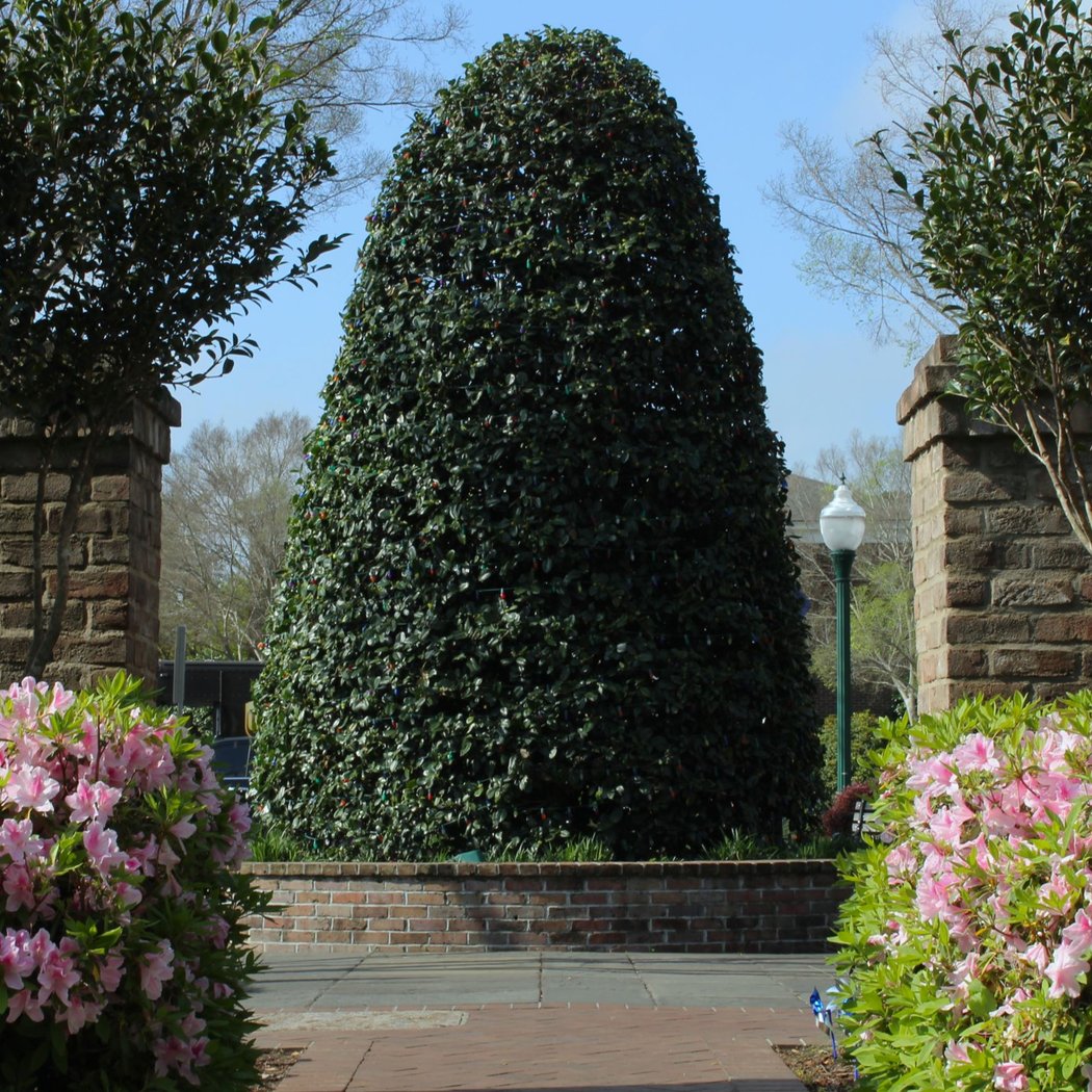 Hutchinson Square 2